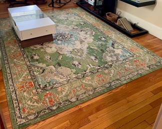 Safavieh 8 X 10 Polypropolene Rug