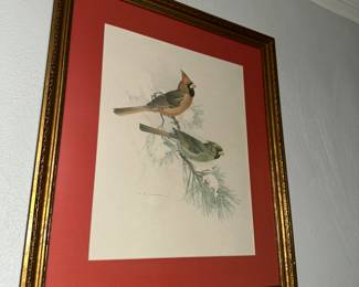 FRAMED VINTAGE BIRD PRINT