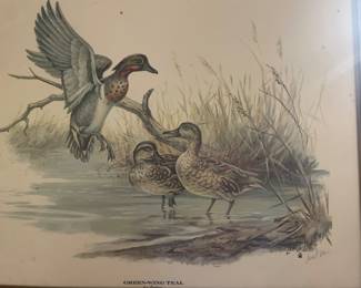 Green Wing Teal by Lowell Davis