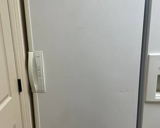 Working excellent condition standup freezer