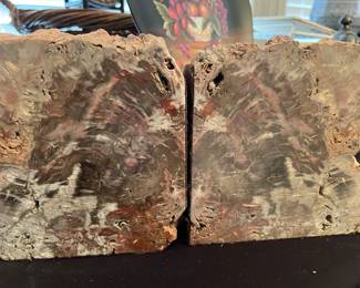 Petrified Wood Bookends