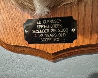 #28 - $140 - Deer head trophy 35x20
