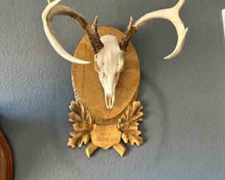 #12 - $75 - (right) deer antler 20x11 on carved holly wood plaque 
