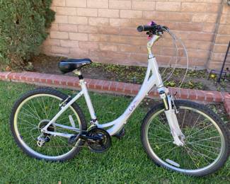 Liv bike 