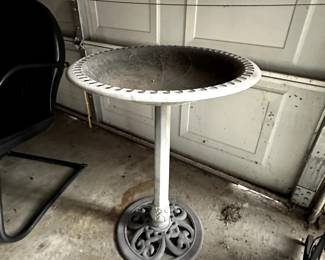 Bird Bath