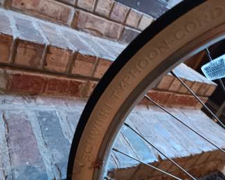 #125	Schwinn Deluxe 7 Phantom Cruiser Bicycle	 $650.00 
