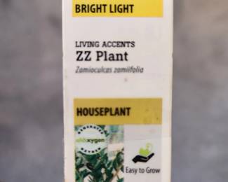 #12	 Zamioculcas Zamiifolia House Plant potted in a Ceramic Pot w/Underplate - 15x12	 $30.00 
