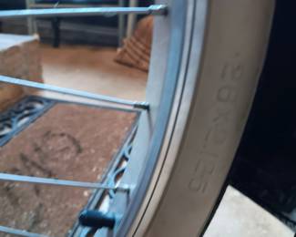 #125	Schwinn Deluxe 7 Phantom Cruiser Bicycle	 $650.00 
