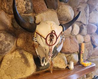 Nice skull with horns