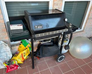 Weber grill