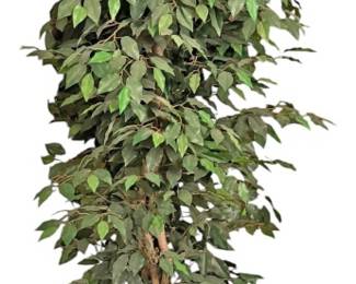 Large Artificial Weeping Fig In Planter