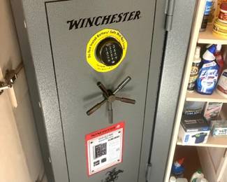 Winchester TS-22 gun safe