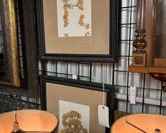 Framed Dried Florals