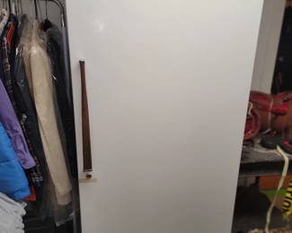 working stand up freezer basement