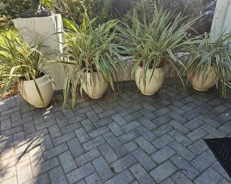 $150 for all 4 
15" tall