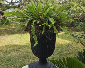 Set a four heavy duty plastic planters $200 for all four 