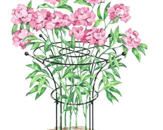 New Essex plant support from Gardener’s Supply Co. - two available