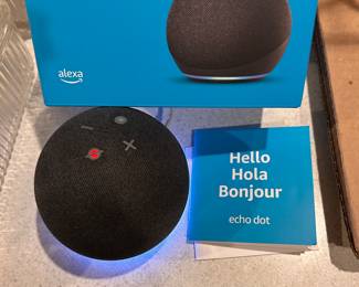 Echo dot Alexa