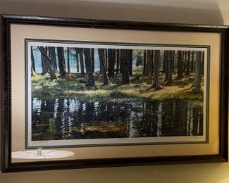 Reflections Picture signed Hedgecock #1 proof