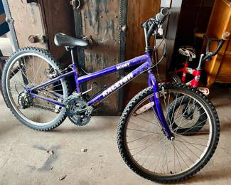 RALEIGH BICYCLE