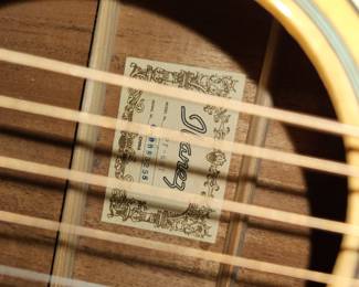 Ibanez PF6NT Acoustic Dreadnought guitar