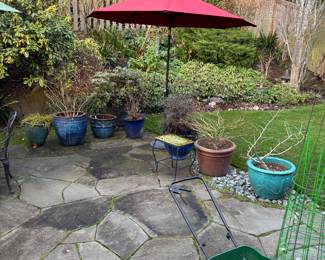 Lots of pots with perennials