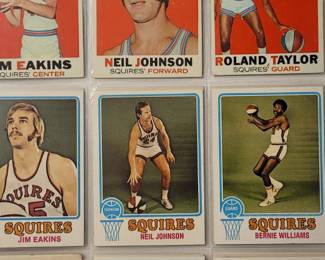 Virginia Squires basketball