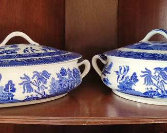 Willow covered servers