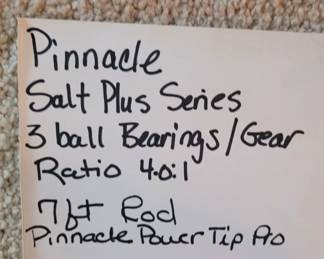 #6 Pinnacle Salt Plus Series 4.0:1 & 7' Pinnacle Power Tip Pro rod