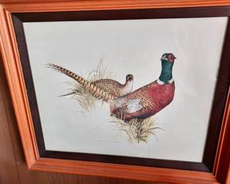 Pheasant, Art By Charles Murphy
