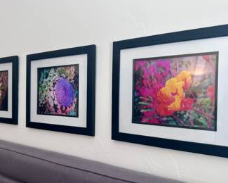 Floral framed photography