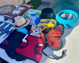 Dog outfits and harnesses