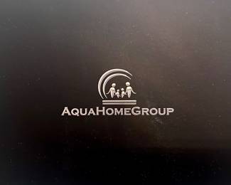 Aqua home group shower water filter