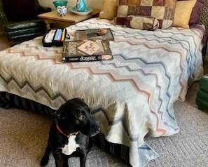 Practical Furnishings