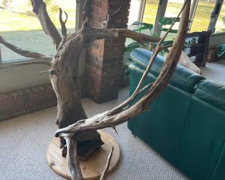 Unique mounted driftwood
