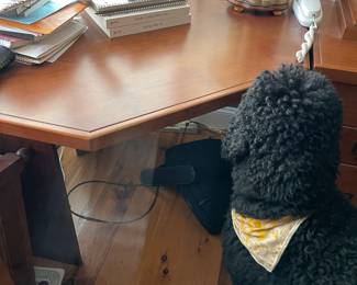 Large Wood Wall unit with desk in the Primary Bedroom $800 - My girl Bernadette is NOT for sale! 