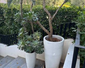 $250 each for the plant vases