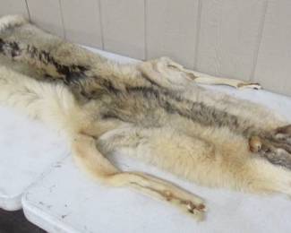 Wolf Hide