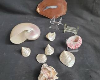 Lot # : 420 - Group of sea shells & Brazilian agate
