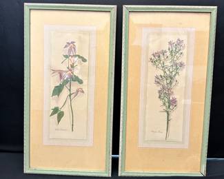 wildflower studies print