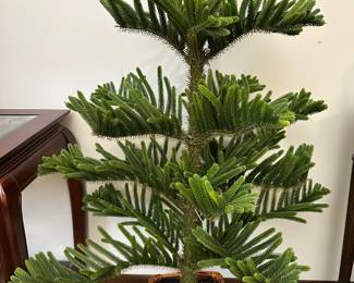 faux Norfolk pine tree