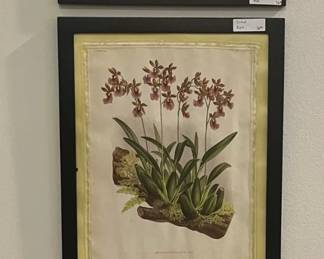 Many prints throughout the home