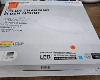 COLOR CHANGING FLUSH MOUNT