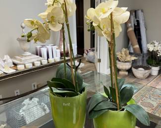 Napa Home Orchids in Polish glass vessels $100 each 