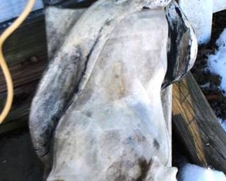 350 - Penguin Statue - 18 x 12 x 17
