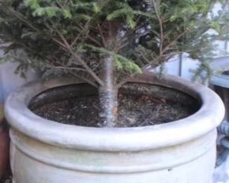 302 - Large Planter - 32 x 24
