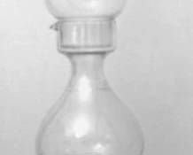 435 - Glass Bottle - 30" tall
