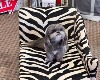 Dog Sofa and NO the dog is not for sale