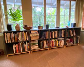 Book shelves and books