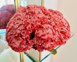 Large collection of Coral 